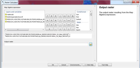 Raster Calculator ArcGIS 的图像结果