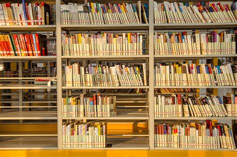 打造浓郁的图书馆读书氛围 优化阅览空间-体院图书馆