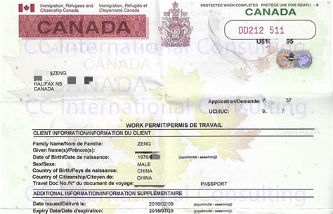 旅游签境内转学签（留学移民）案例分享-TAN（36岁） – CCIC