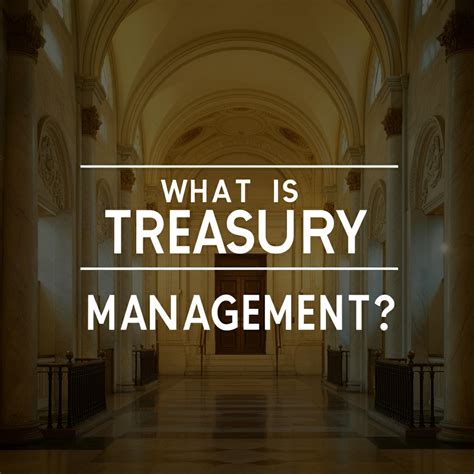 What is Treasury Management? A Comprehensive Guide [2024]