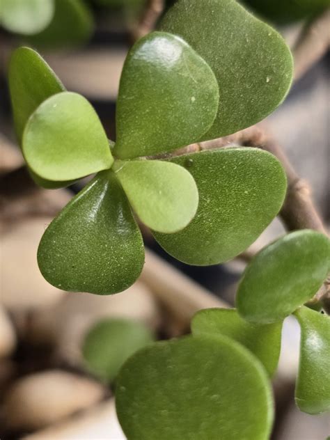 Tech - Mashable India