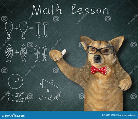 Image result for Math Dog