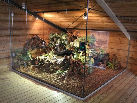 reptile big enclosure - Google Search | Reptile room, Snake terrarium ...