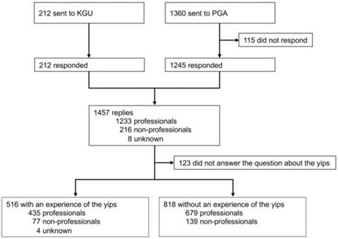 Association of the Yips and Musculoskeletal Problems in Highly Skilled ...