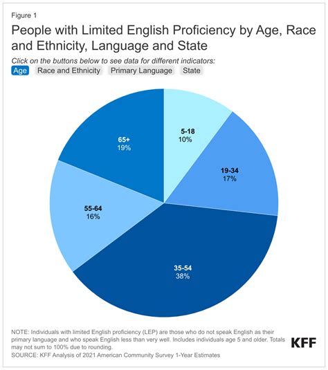 Overview of Health Coverage and Care for Individuals with Limited ...