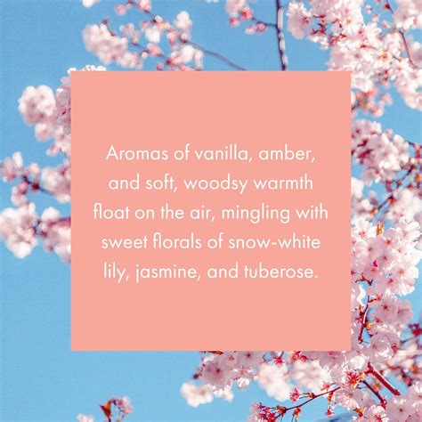 Buy Monthly Fragrance Cartridge for ScentAir Whisper Home (Asian ...