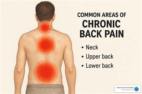 What Is The Best Treatment For Chronic Back Pain? 7 Powerful Solutions 2025