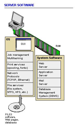 Network Operating System Process 的图像结果