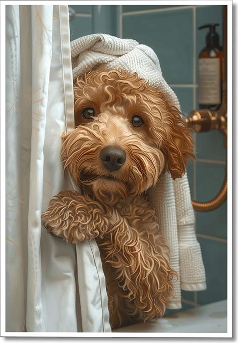 AatoeaX Funny Bathroom Wall Art Funny Animal Wall Art Gold In Shower ...