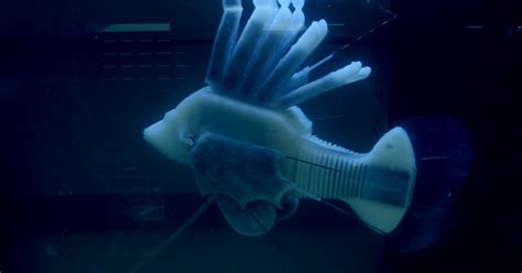 This Blood-Powered Robot Fish Can Swim For 37 Hours - MobyGeek.com
