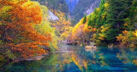 Image result for Python Sequence Alignment View