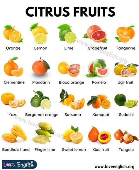 Citrus Fruits Include at Janet Abney blog