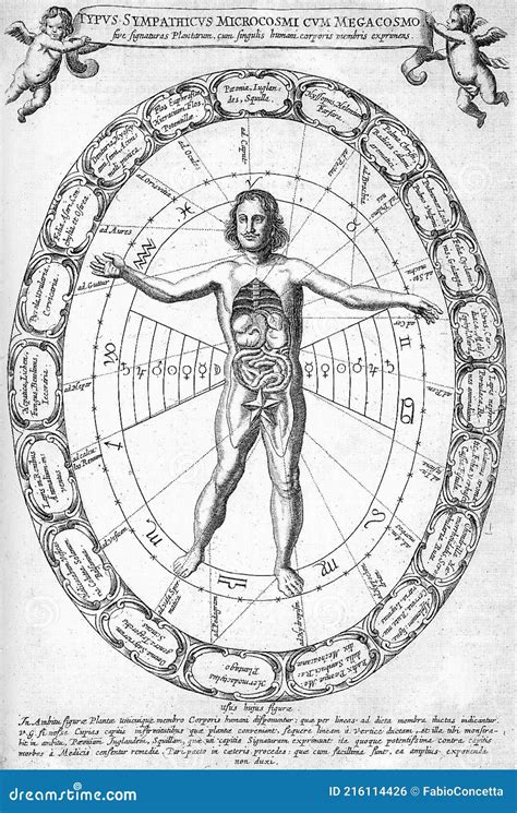 Alchemical Astrological Illustration of the Correspondence between ...