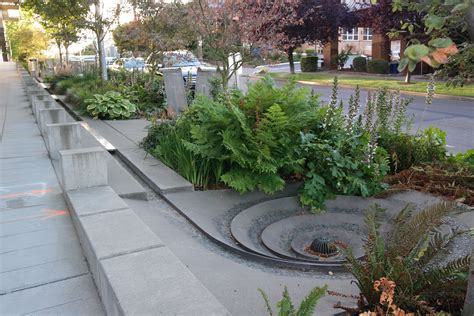 Urban Rain Garden Design
