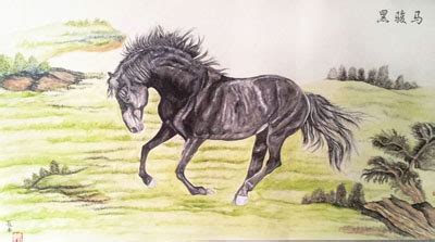 骏马简笔画 的图像结果