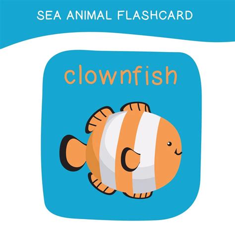 Sea Flashcard 的图像结果