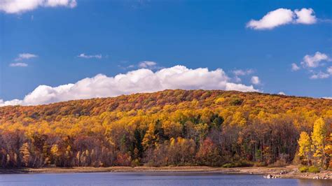 13 Best Places to See New Jersey Fall Foliage in 2025