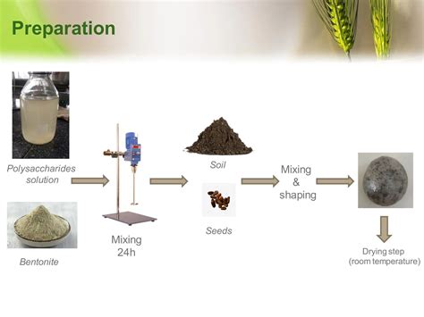 Seed Coating Formula 的图像结果