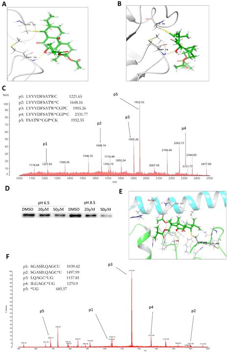 Libertellenone H, a Natural Pimarane Diterpenoid, Inhibits Thioredoxin ...