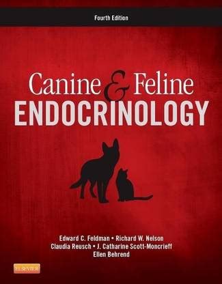 Canine and Feline Endocrinology: Buy Canine and Feline Endocrinology by ...
