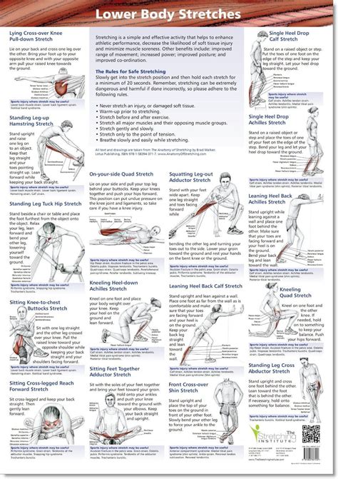 Biceps Tendonitis Rehab Exercises Pdf at Raymond Terrell blog