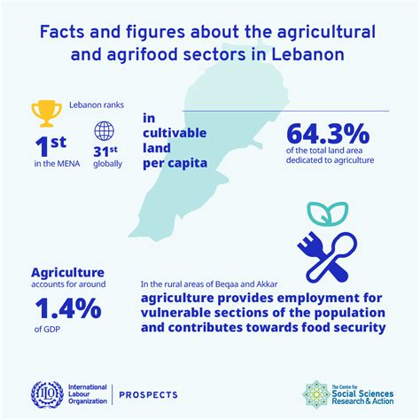 Facts and figures about the agricultural and agrifood sectors in Lebanon | Civil Society ...