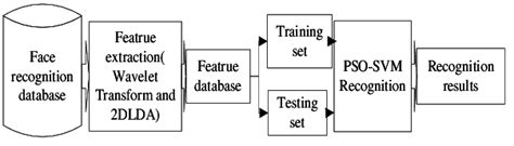 Experiment Process 的图像结果