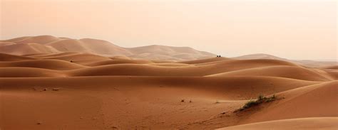 African Desert | Sahara | Environmental Wiki - Twinkl