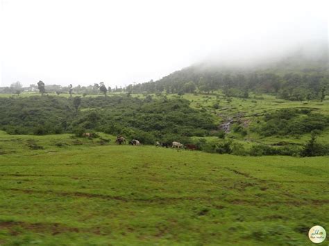 Saputara Hill Station - Attractions & Best Visiting Time