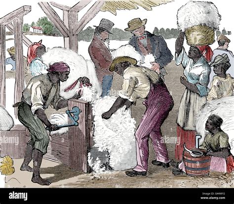 United States. Cotton gin. Invented in USA, 1793 by Eli Whitney. Agriculture cotton. Slaves ...