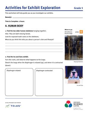 Fillable Online Activities for Exhibit Exploration - Ontario Science ...