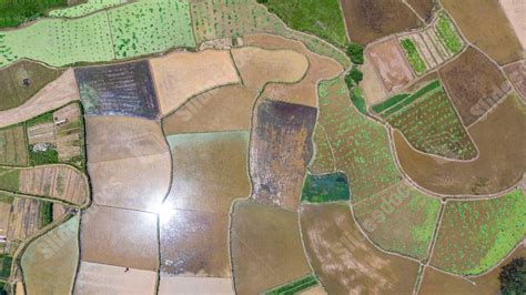 Agriculture Ppt Background 的图像结果