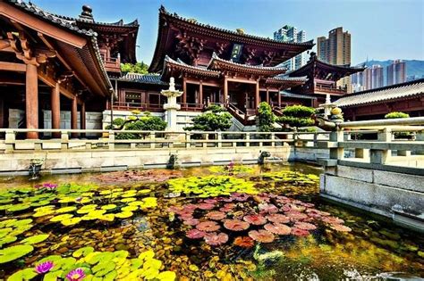 5 Monasteries In Hong Kong To Get Closer To Buddhism In 2025!