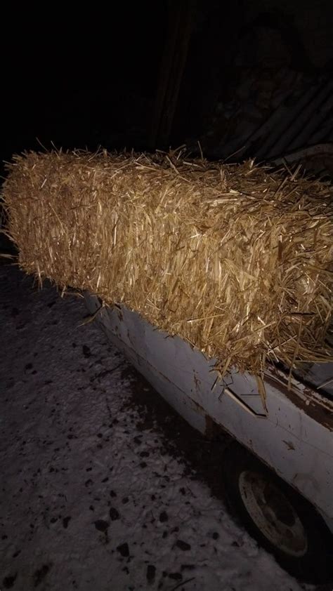 Продам солому в тюках сіно сено в тюках люцерка солома для мульчи: 100 ...