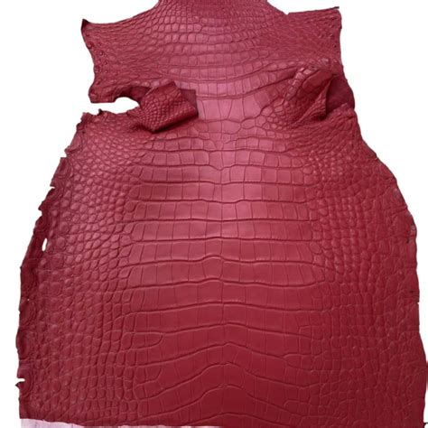 Sunny Exotic Leather Tannery: pieles de cocodrilo, pitón y lagarto de ...