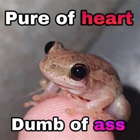 Frogs 🐸💚 | You know what you did. frog.lover0 | Instagram