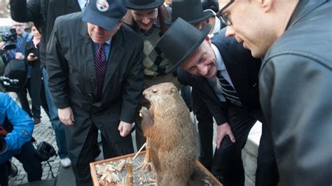 Do other groundhogs try to predict end of winter? | Fox Weather