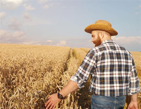 Gute Ernteprognosen können Stimmung unter Landwirten kaum aufhellen ...