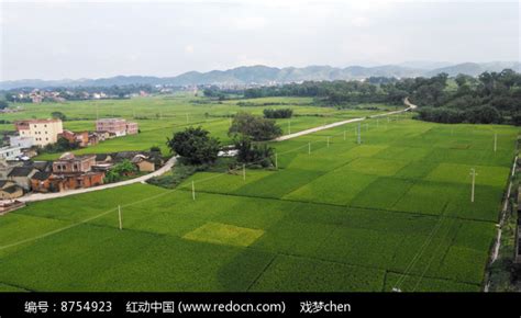绿油油的田野风景高清图片下载_红动中国