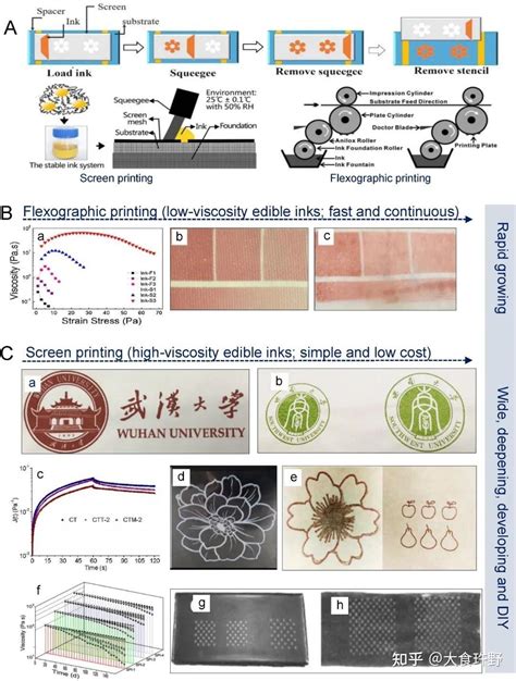 2D/3D/4D 打印食用墨水的流变学及其在未来 5D/6D 打印中的作用 - 知乎