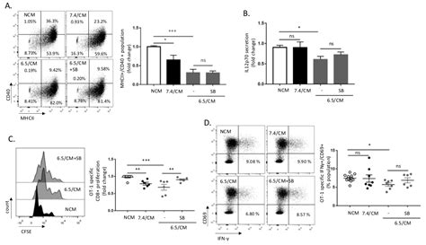 Acidosis-Induced TGF-β2 Production Promotes Lipid Droplet Formation in ...