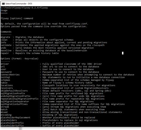Image result for Flyway Database Migration