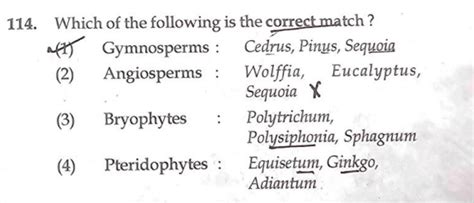 NEET Re Exam Question Paper 2024 Out, Download Exam Answer Key PDF