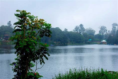 Yercaud Lake: