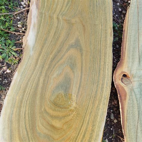Lignum Vitae | The Wood Database (Hardwood)