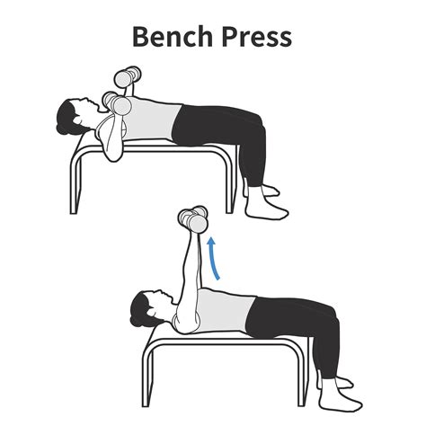 All Types of Exercise 的图像结果