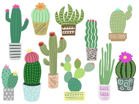 Cactus Clip Art