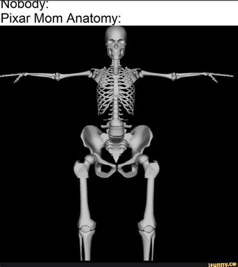 Pixar Mom Anatomy: - iFunny