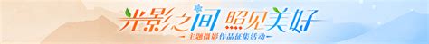 Image result for File Structure Map