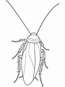 insekten malvorlagen insekten malvorlagen malvorlagen1001 de insekten malvorlagen insekten malvorlagen malvorlagen1001 de